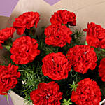 Heavenly 20 Red Carnations Bouquet