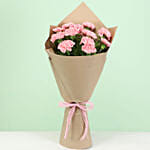 Magical Surprise 12 pink Carnations Bunch