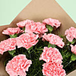 Magical Surprise 12 pink Carnations Bunch