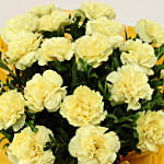 Perfect 20 yellow Carnations Bunch