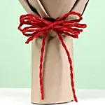Posy of bright red roses