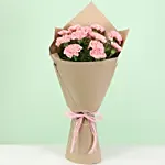 Eternal 12 Pink Carnations Bunch