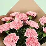 Eternal 12 Pink Carnations Bunch
