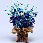 Gorgeous Orchids Arrangement