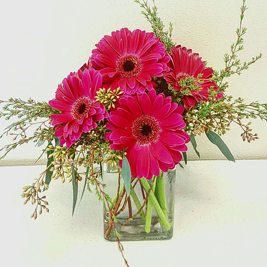 Blissful Dark Pink Gerberas Glass Vase Arrangement