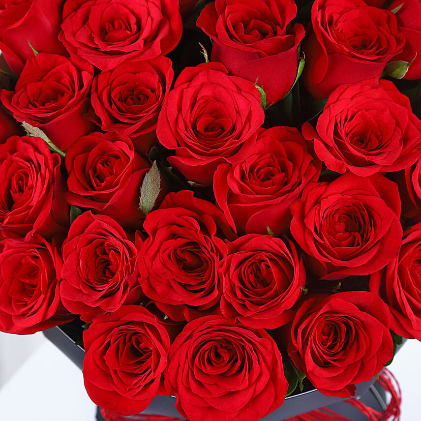 Red Velvet Whispers Of Roses