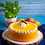 Mango Season Cake 2 Kg Eggless