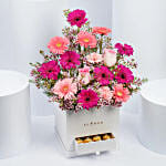 Gerberas Beauty
