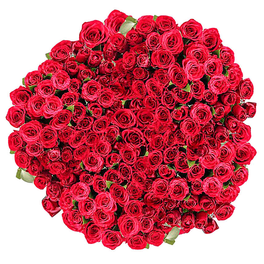 365 Red Rose Bouquet