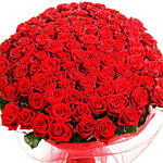 500 Red Rose Bouquet