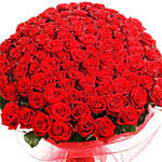 500 Red Rose Bouquet