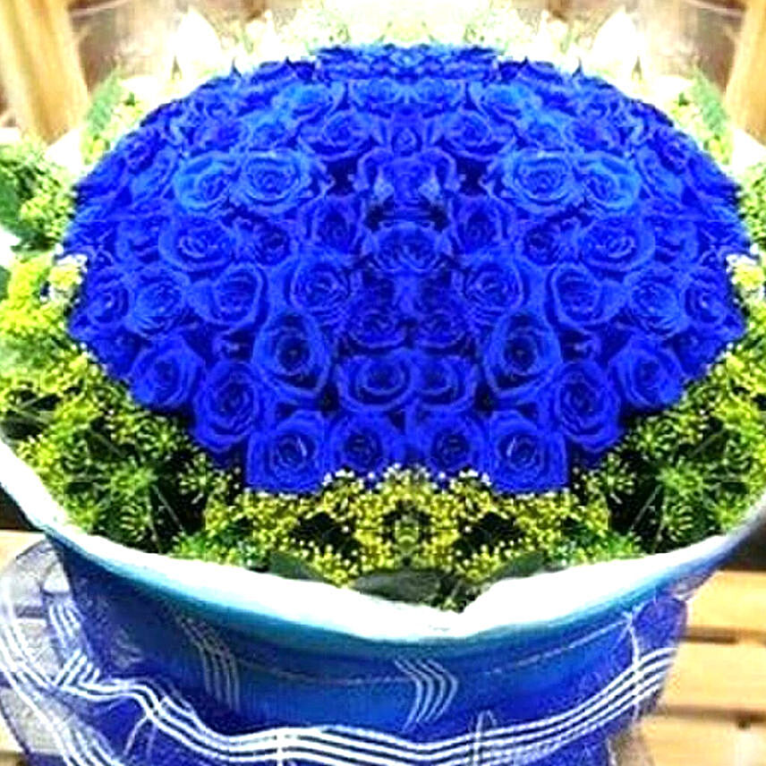 2 dz Ecuadorian Blue Roses