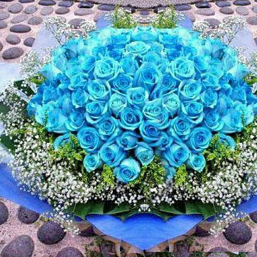 3dz Holland Blue Roses