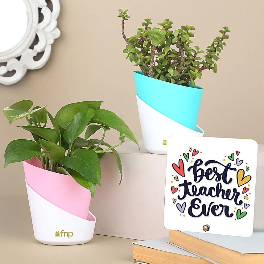 Combo of Jade & Money Plants with Table Top: توصيل نباتات خارجية إلى قطر
