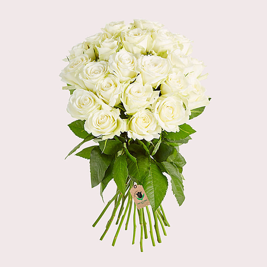 Graceful White Roses