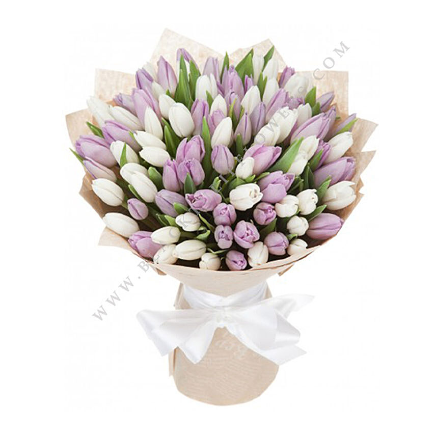 White & Purple Tulips- Premium