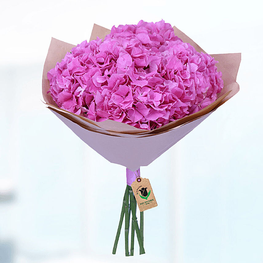 10 Stems Pink Hydrangea Bunch