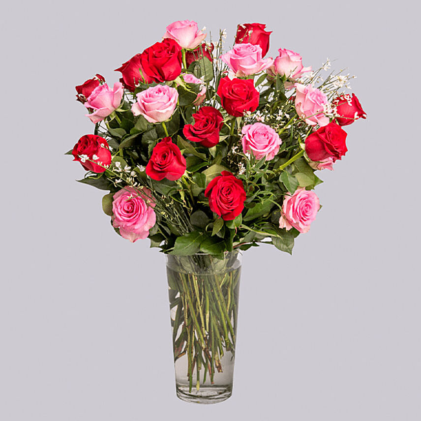 20 Pink & Red Roses Vase