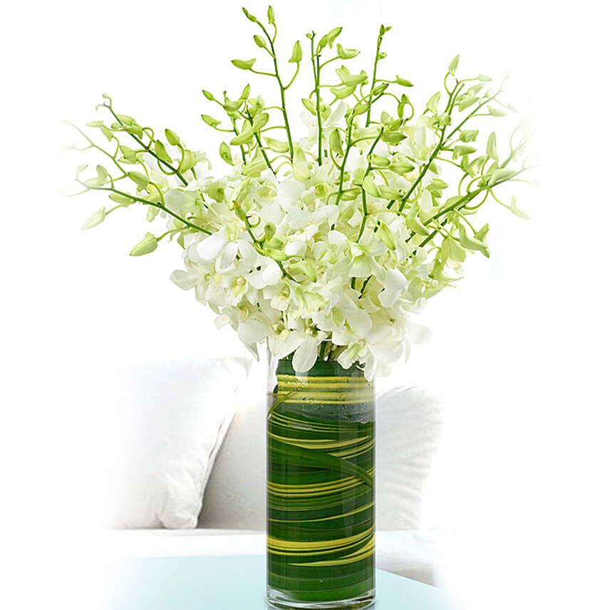 20 Stems White Dendrobium Orchids Vase