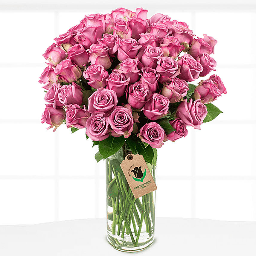 60 Royal Purple Roses Vase