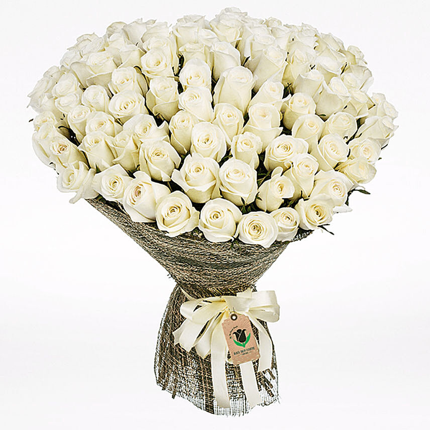 75 Elegant White Roses Bouquet