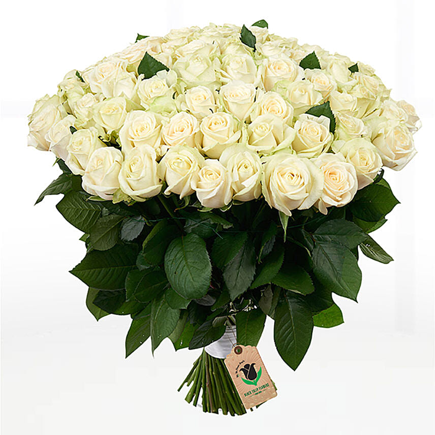 100 Stems Heavenly White Rose Bunch