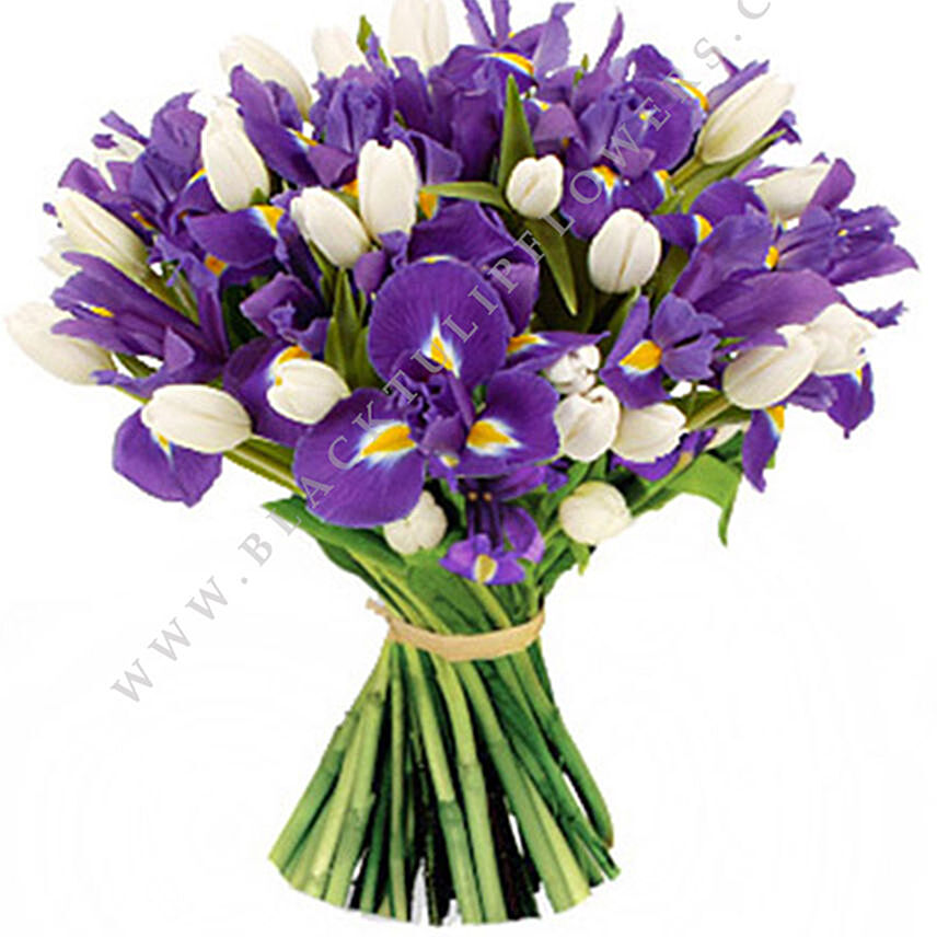 Blue Iris & White Tulips Bunch- Premium