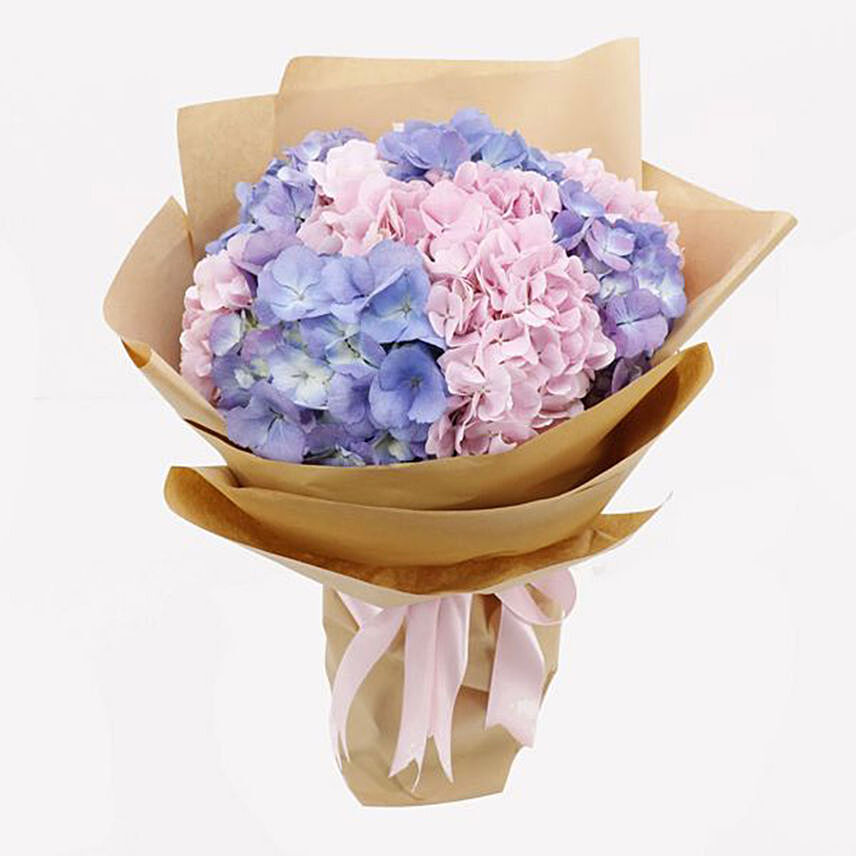 Pink & Purple Hydrangeas Bunch- Premium