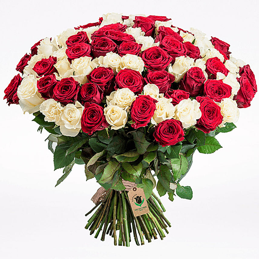 Red & White Roses Bunch- Premium