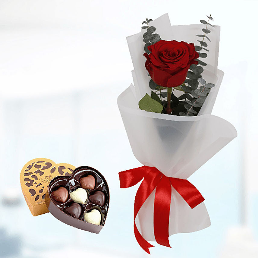 Single Red Rose White Wrap & Godiva Chocolates