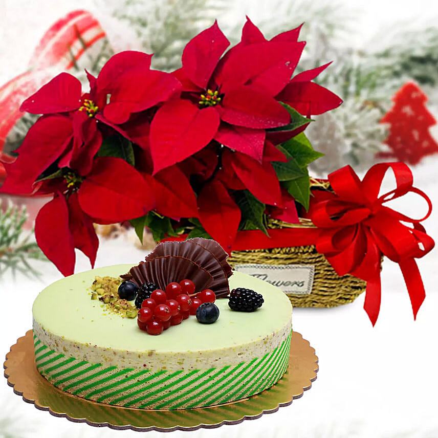 Red Poinsettia Plant With Kifaya Cake