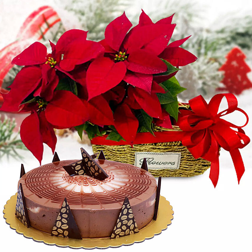 Two Red Poinsettia Plants With Cappuccino Cake