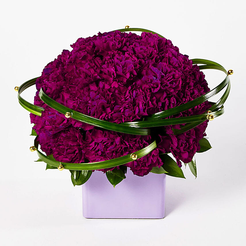 Premium Dark Purple Carnations Arrangement