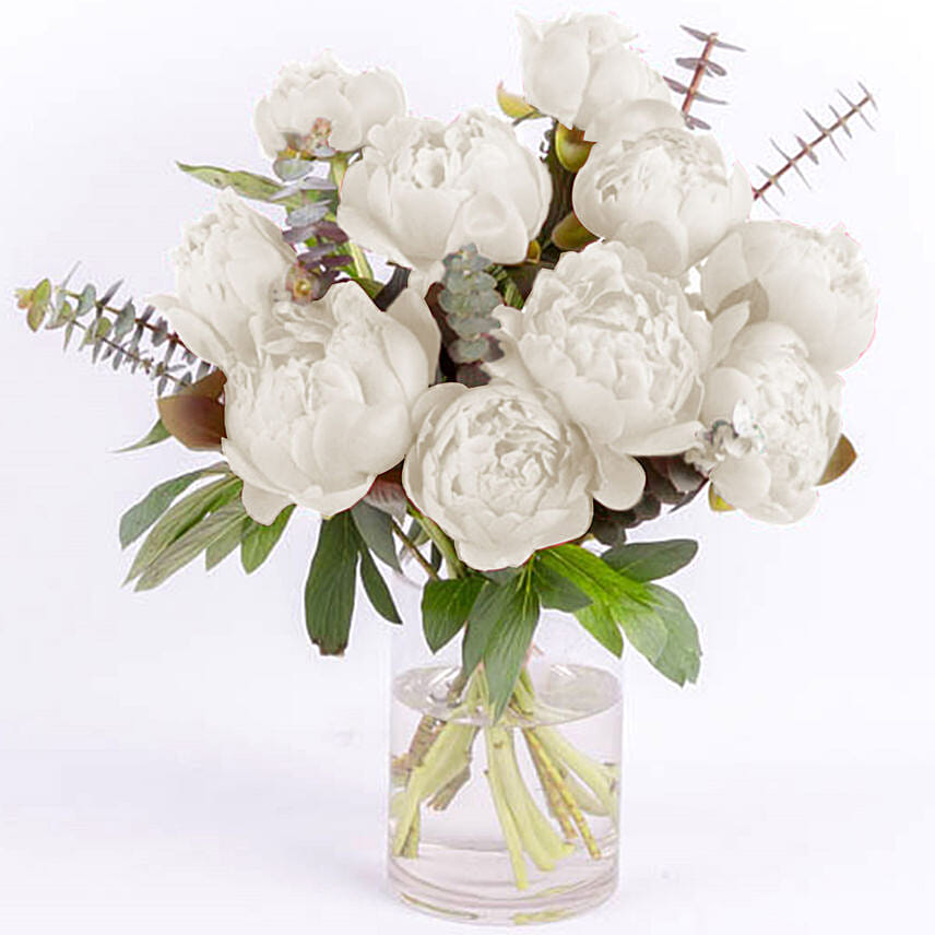 Perfect White Peonies