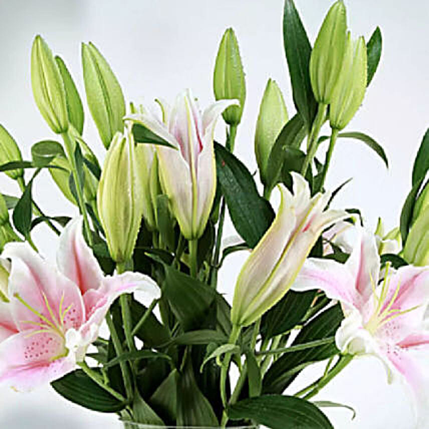 Online 10 Stems Pink Lilies Vase Gift Delivery in Qatar - Fnp.ae