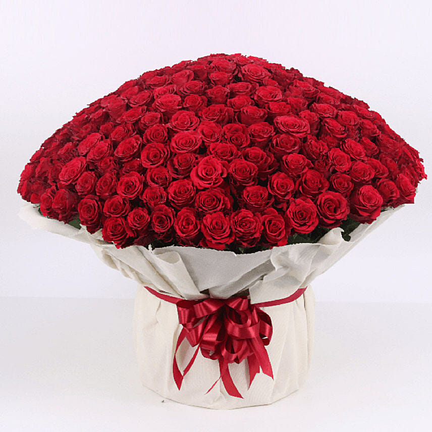 500 Red Roses Bouquet