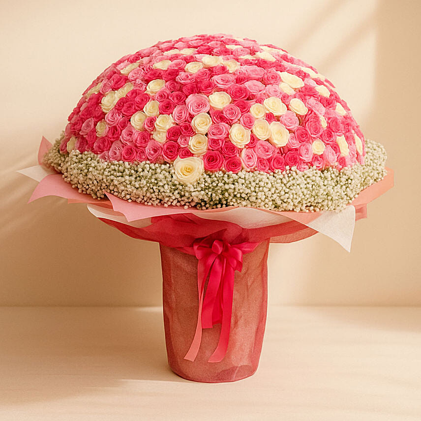 باقة 450 وردة جورية ملونة بيضاء ووردية وجيبسوفيلا: باقة زهور إلى قطر