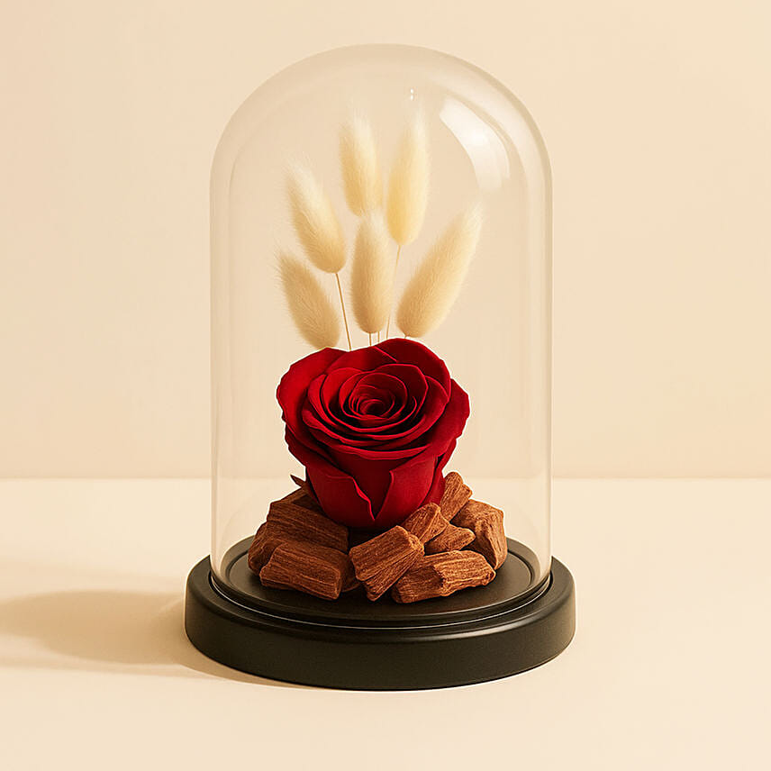 Red Forever Rose In Glass Dome: Send Flowers to Qatar
