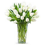 20 White Tulips QT