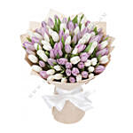 White & Purple Tulips- Premium
