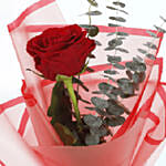 6 Red Roses & Godiva Chocolates