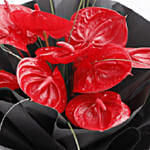 10 Stems Anthurium Bunch