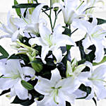 10 Stems White Lilies Vase