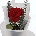 12 Red Roses White Wrap & Godiva Chocolates