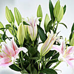 15 Stems Stargazer Pink Lilies Vase