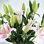 20 Stems Stargazer Pink Lilies Vase