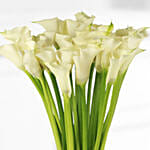 20 Stems White Calla Lilies Vase