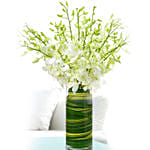 20 Stems White Dendrobium Orchids Vase