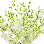 20 Stems White Dendrobium Orchids Vase