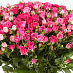 30 Stems Dark Pink Spray Roses Bunch